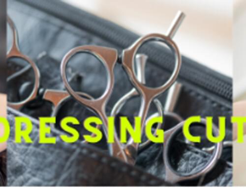 Hairdressing Cutting