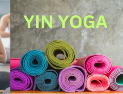 Yin Yoga (Yoga & meditation)